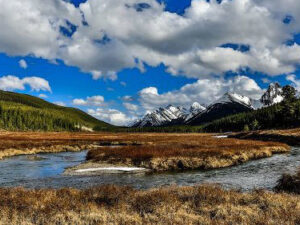 Engadine marsh 2012 2