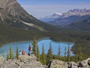 Sightseeing peyto lake Zizka 1h
