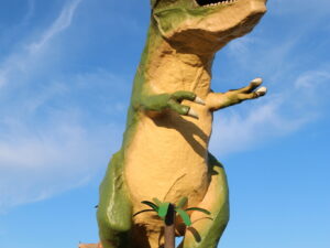 Worlds largest dinosaur S 12