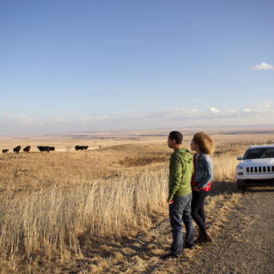 Cowboy Trail South