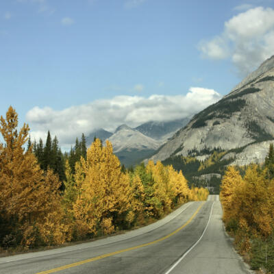 Scenic Fall Drive