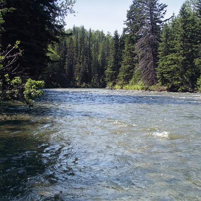 Prairie creek