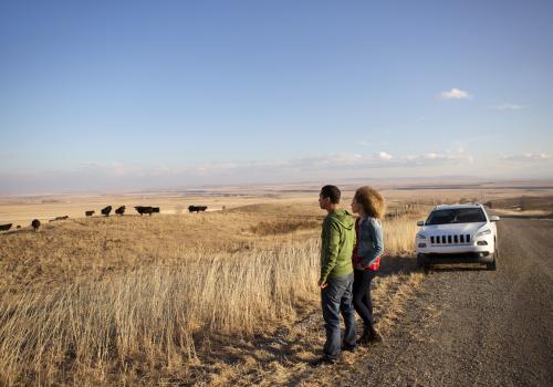 Cowboy Trail South