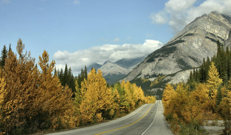 Scenic Fall Drive