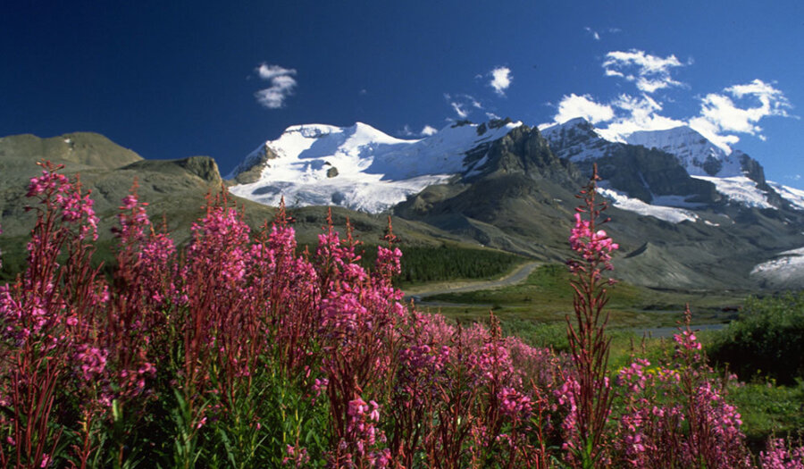 Columbia icefields