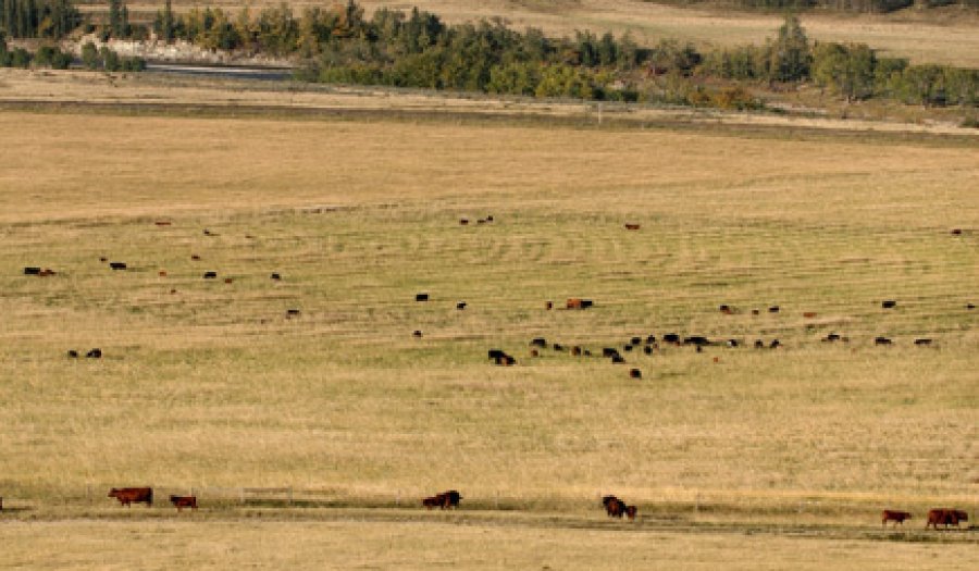 Glenbow ranch