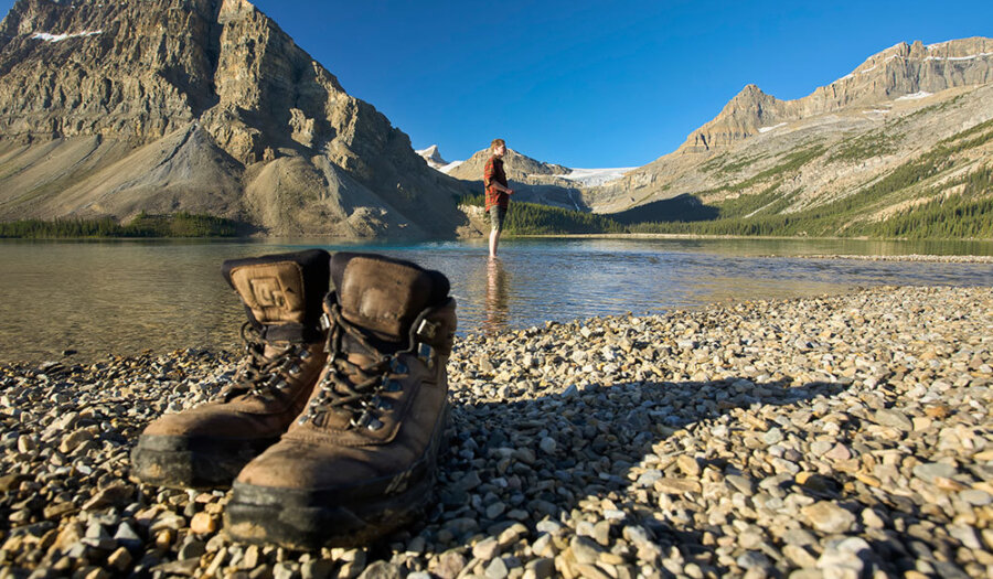 Sightseeing bow lake zizka 7h