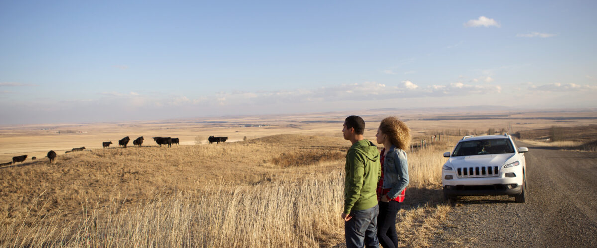Cowboy Trail South