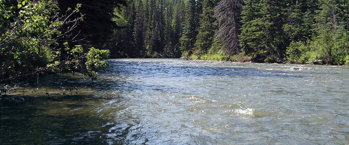 Prairie creek