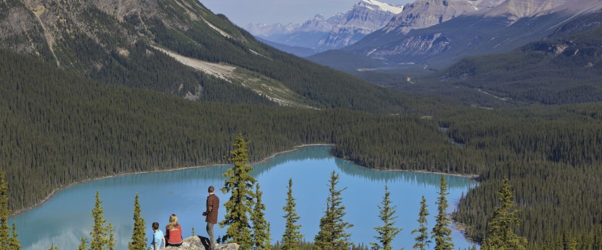 Sightseeing peyto lake Zizka 1h