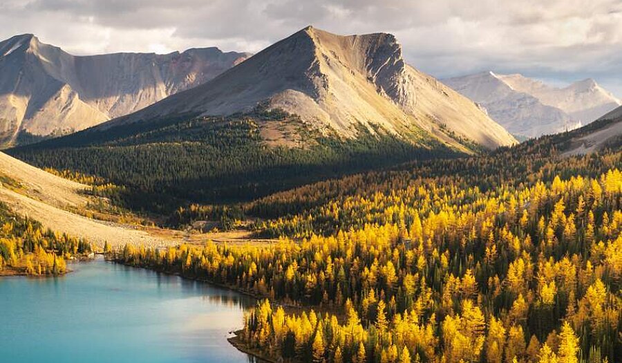 Myosotis Lake at Skoki Mountain in Banff National Park