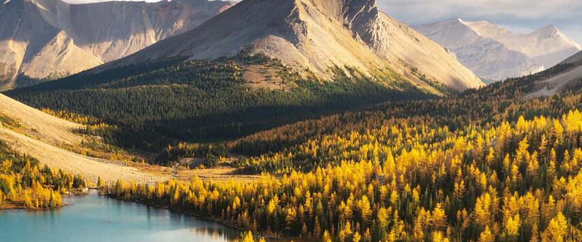 Myosotis Lake at Skoki Mountain in Banff National Park