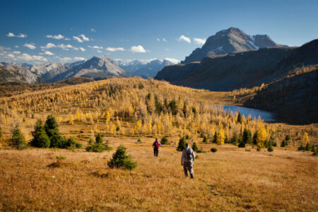 Larch Valley