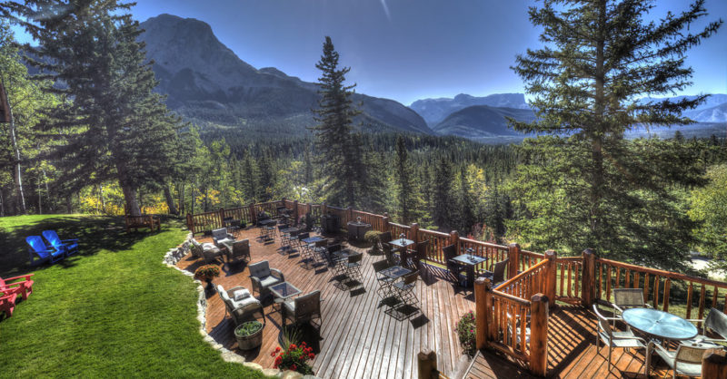 img_3210.jpg?v=1768002661