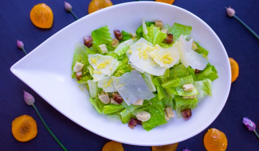 The overlander 2017 6922 medium