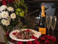 We A Bear and Bison 963 1