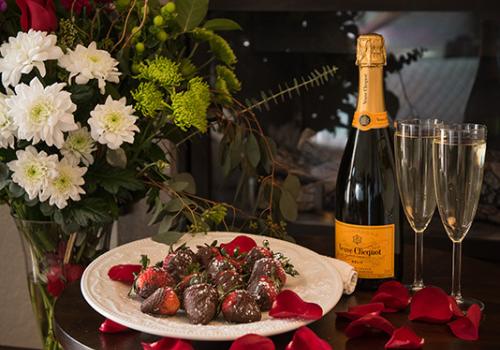 We A Bear and Bison 963 1