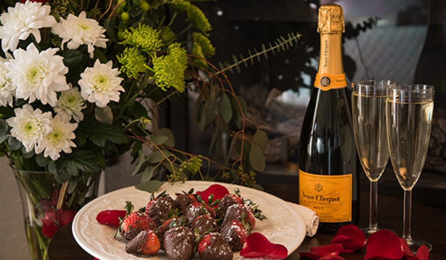 We A Bear and Bison 963 1