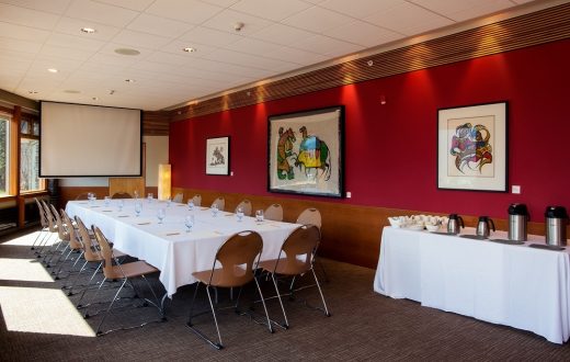 Vermillion Meeting Room