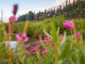 Engadine Lodge Summer 2022 Nick Fitzhardinge Low Res 79
