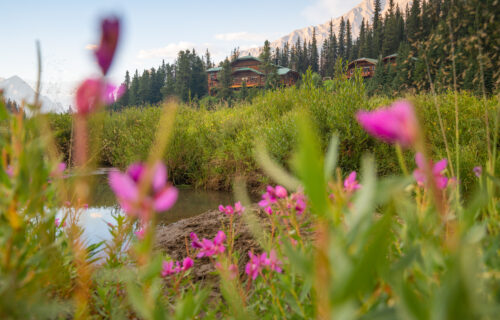 Engadine Lodge Summer 2022 Nick Fitzhardinge Low Res 79