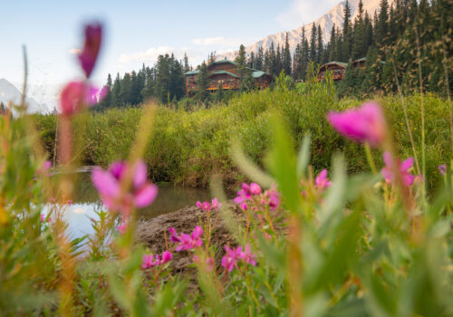 Engadine Lodge Summer 2022 Nick Fitzhardinge Low Res 79