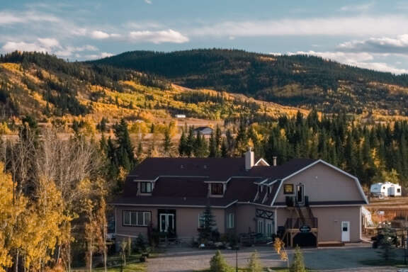 A24 036863 High Res JPG