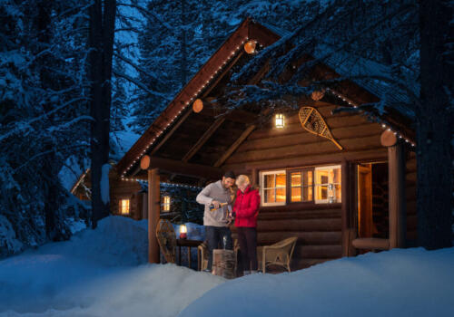 03 Log Cabin Copy
