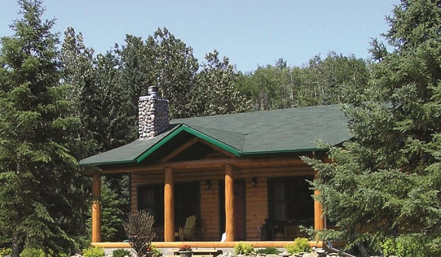The Prairie Creek Inn Cabin
